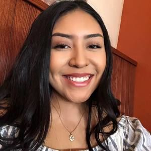 Meet your Posher, Hansiler